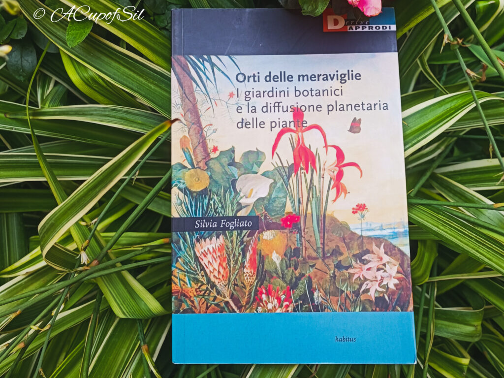 "Orti delle meraviglie" di Silvia Fogliato