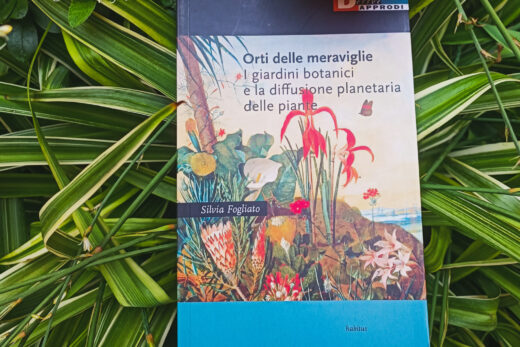 "Orti delle meraviglie" di Silvia Fogliato