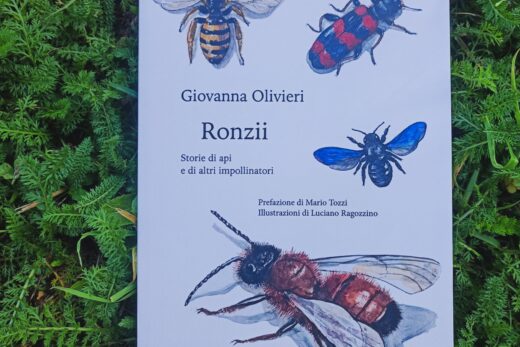 "Ronzii" di Giovanna Olivieri