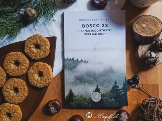 "Bosco 23" di Benedetta Perissi